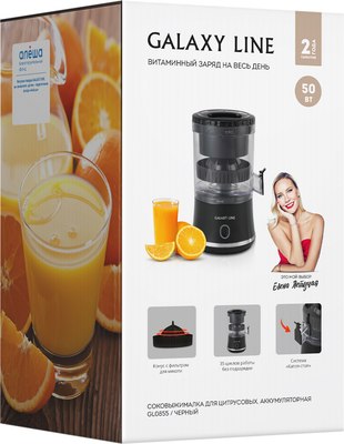Соковыжималка электрическая Galaxy Line GL 0855 (черный)