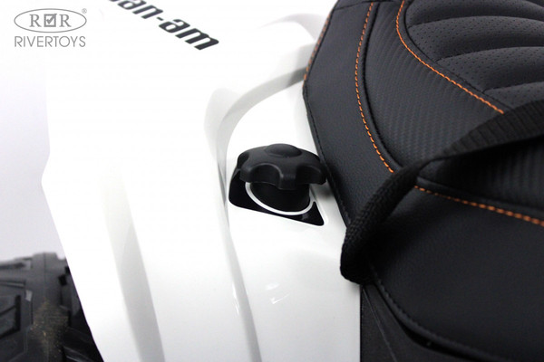 Детский квадроцикл RiverToys BRP Can-Am Renegade Y333YY