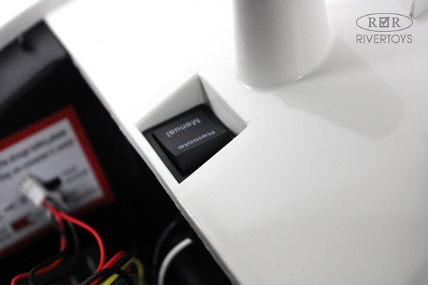 Детский квадроцикл RiverToys BRP Can-Am Renegade Y333YY