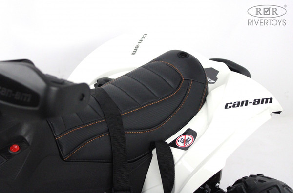 Детский квадроцикл RiverToys BRP Can-Am Renegade Y333YY