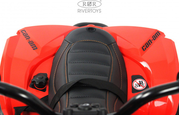 Детский квадроцикл RiverToys BRP Can-Am Renegade Y333YY