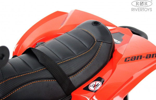 Детский квадроцикл RiverToys BRP Can-Am Renegade Y333YY