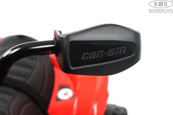 Детский квадроцикл RiverToys BRP Can-Am Renegade Y333YY
