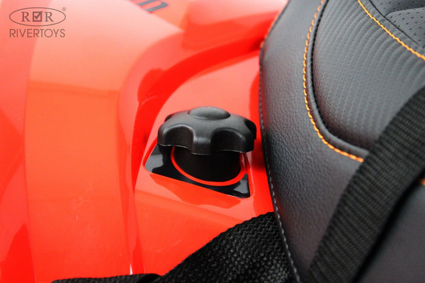 Детский квадроцикл RiverToys BRP Can-Am Renegade Y333YY