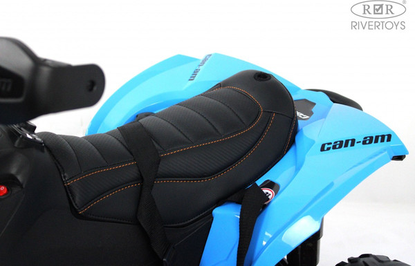Детский квадроцикл RiverToys BRP Can-Am Renegade Y333YY