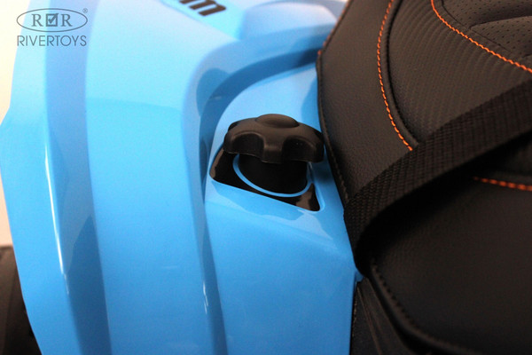 Детский квадроцикл RiverToys BRP Can-Am Renegade Y333YY