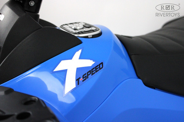 Детский квадроцикл RiverToys T001TT 4WD