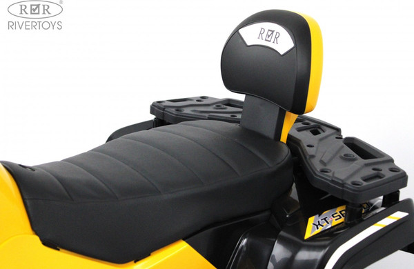 Детский квадроцикл RiverToys T001TT 4WD