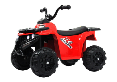 Детский квадроцикл RiverToys L222LL - фото