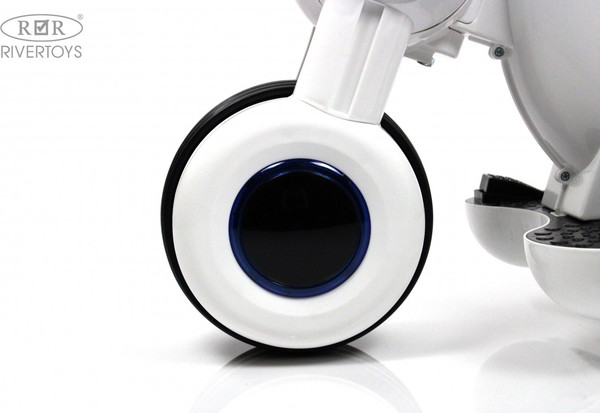 Детский мотоцикл RiverToys HL300