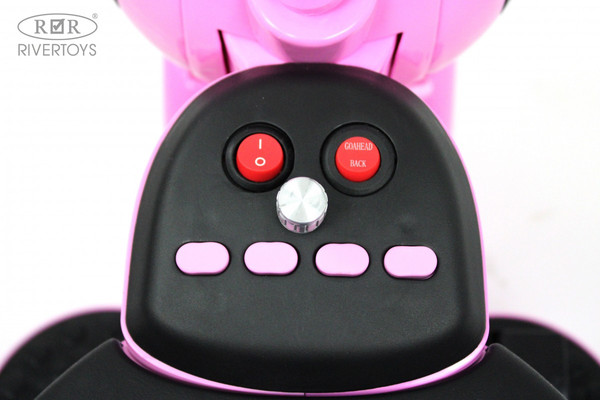 Детский мотоцикл RiverToys HL300