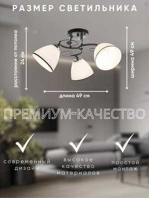 Потолочный светильник Aitin-Pro НПБ 02-3x60-101 / 10138/3