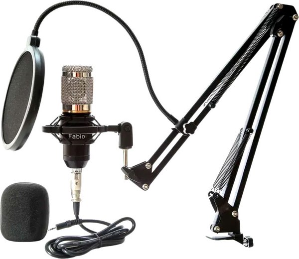 Микрофон Fabio Студийный - фото
