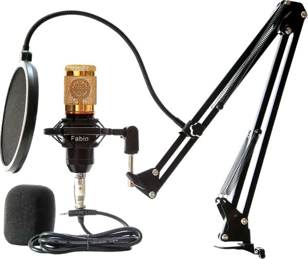 Микрофон Fabio Студийный - фото