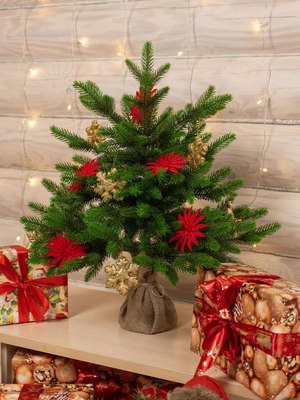 Ель искусственная National Tree Company Лесная / ЛС-60