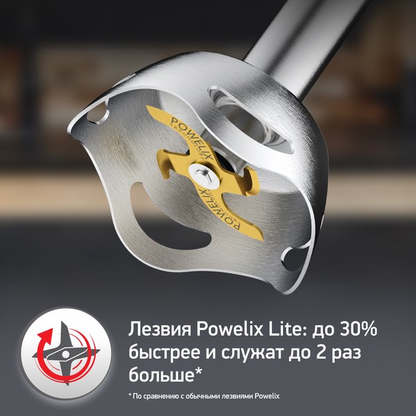 Блендер погружной Moulinex DD94L810