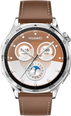 Умные часы Huawei Watch GT 5 46mm VLI-B19 / 55020DGK