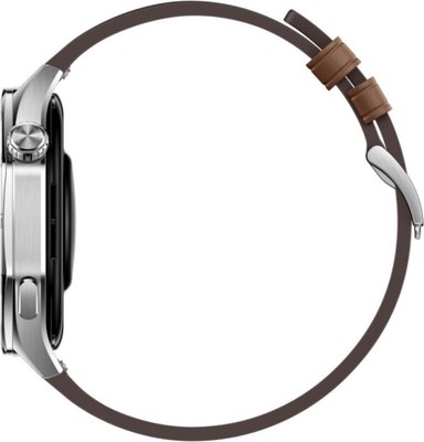 Умные часы Huawei Watch GT 5 46mm VLI-B19 / 55020DGK