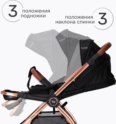 Детская универсальная коляска Tomix Walker Lux 2 в 1 / BD101BLUX