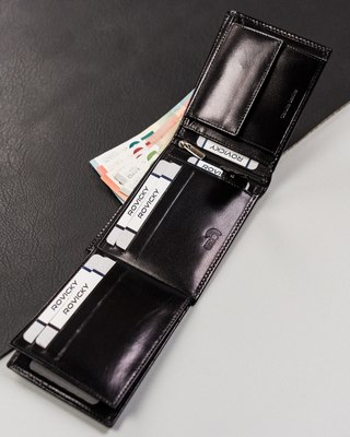 Портмоне Cedar Rovicky RV-8190-AAX-3685