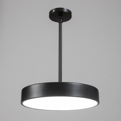 Потолочный светильник BayerLux Орнео 10125221