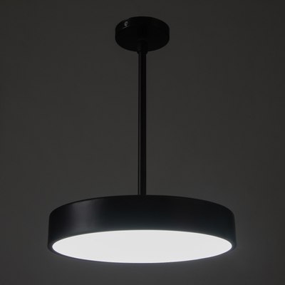 Потолочный светильник BayerLux Орнео 10125221