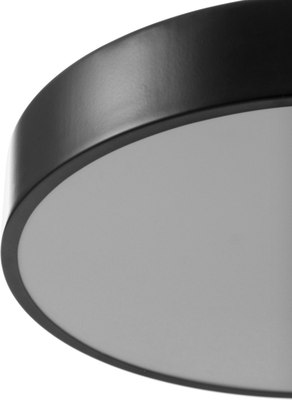 Потолочный светильник BayerLux Орнео 10125221