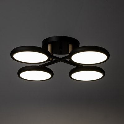 Люстра BayerLux Алис 10059022