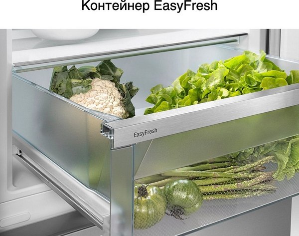 Холодильник без морозильника Liebherr SRsfd 5220