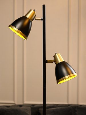 Торшер ArtStyle HT-752x2BRSB