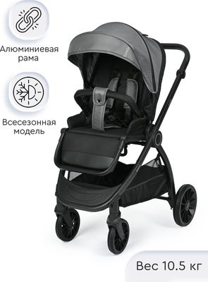 Детская прогулочная коляска Tomix Walker / BD101SINGL