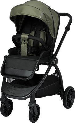 Детская прогулочная коляска Tomix Walker / BD101SINGL - фото