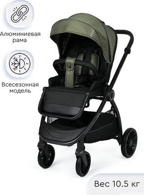 Детская прогулочная коляска Tomix Walker / BD101SINGL