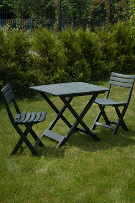 Комплект стульев садовых Ipae Progarden Birki / BIR80CVE-4