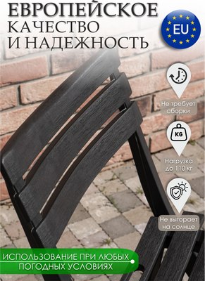 Комплект стульев садовых Ipae Progarden Birki / BIR80CAN-4