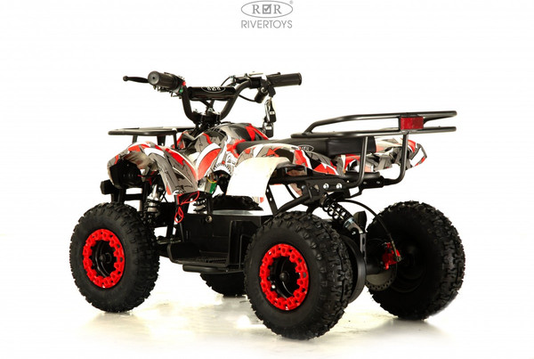 Детский квадроцикл RiverToys Anri Special