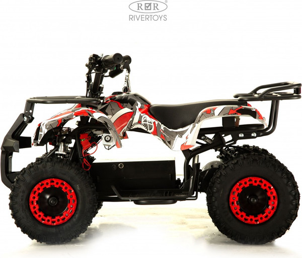 Детский квадроцикл RiverToys Anri Special