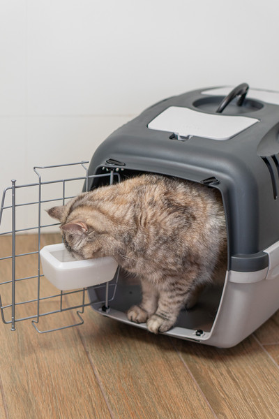 Миска для переноски Stefanplast 97921