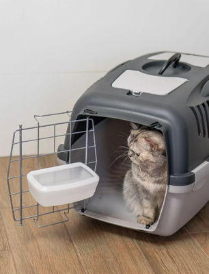 Миска для переноски Stefanplast 97922