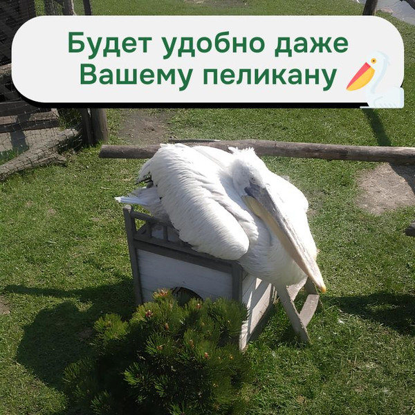 Домик для животных Dipriz Д.7617