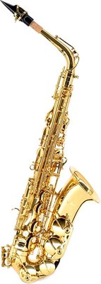 Саксофон Vivoton Student - фото