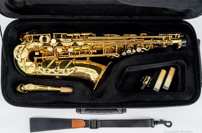 Саксофон Vivoton Student