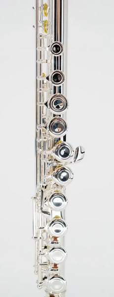 Флейта Vivoton Standart 16X