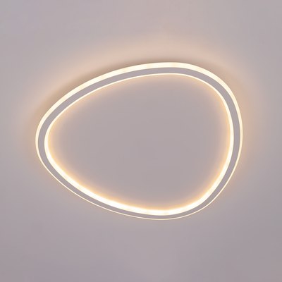 Потолочный светильник Citilux Trio CL215B250E