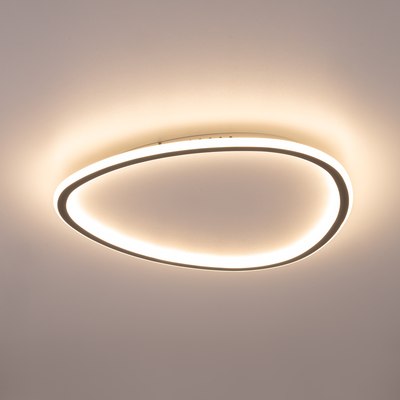 Потолочный светильник Citilux Trio CL215B251E - фото