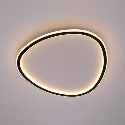 Потолочный светильник Citilux Trio CL215B251E