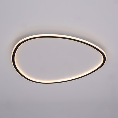 Потолочный светильник Citilux Trio CL215B261E