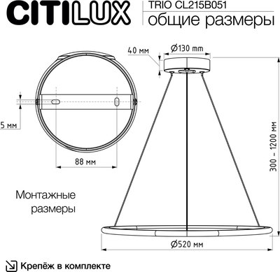 Потолочный светильник Citilux Trio CL215B051