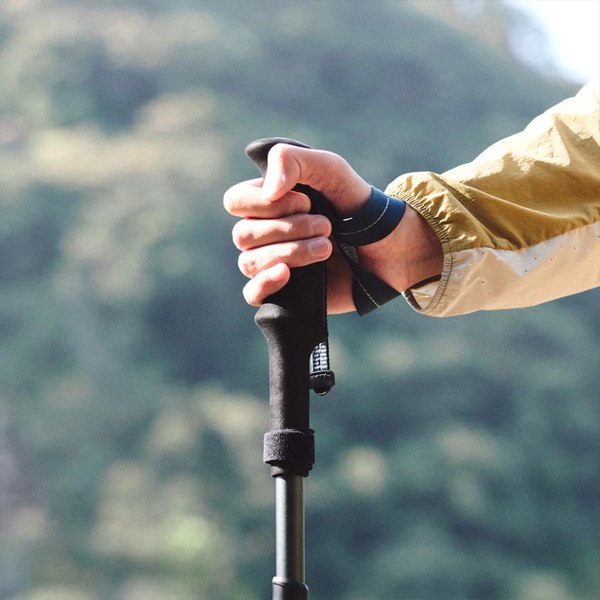 Трекинговая палка Naturehike CNK2450DS013 AL Chang feng Pro / 6975641883708