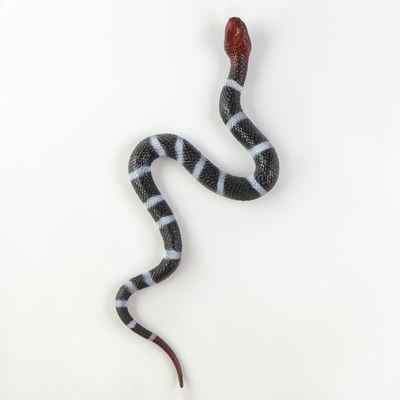 Фигурка игровая Sima-Land Змея. Уж / 10460441